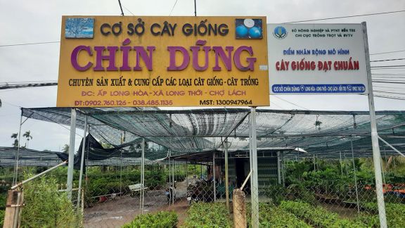 Chín Dũng