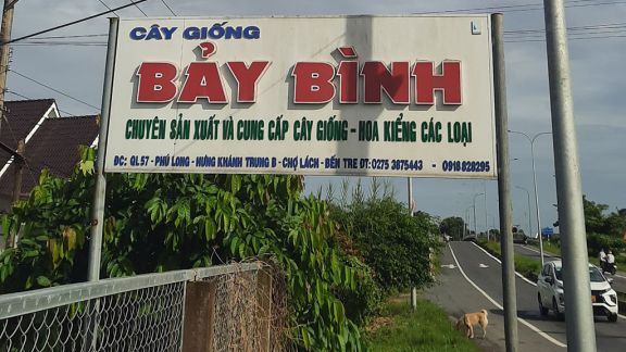 Bảy Bình