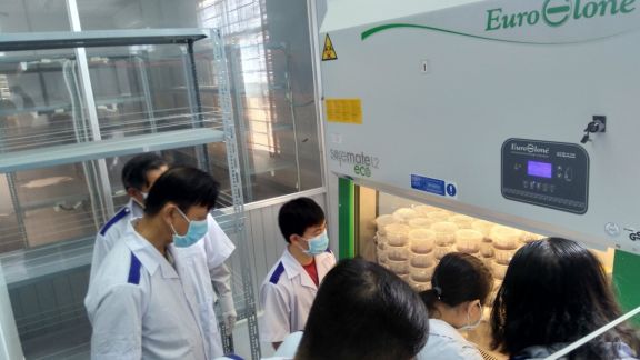 Tập huấn kỹ thuật Mô hình “Sản xuất nấm dược liệu Đông trùng hạ thảo (Cordyceps militaris) trên cơ chất bả bia và phát triển các sản phẩm hỗ trợ sức khỏe từ nấm này tại Bến Tre” cho các hộ dân trong tỉnh.