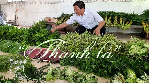 thanh lá