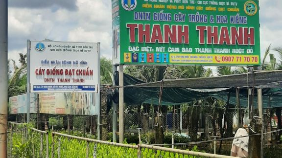 Thanh Thanh