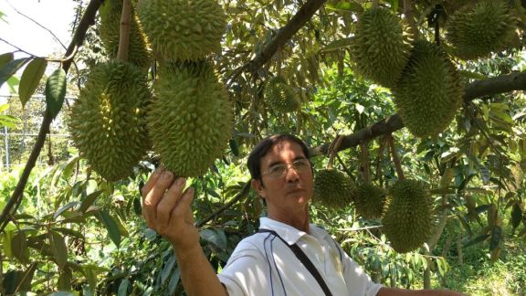 Tư Thành