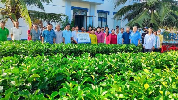 TRUNG TÂM GIỐNG VÀ HOA KIỂNG TỈNH BẾN TRE – NƠI CUNG CẤP CÂY GIỐNG ĐẠT CHUẨN, CHẤT LƯỢNG CAO
